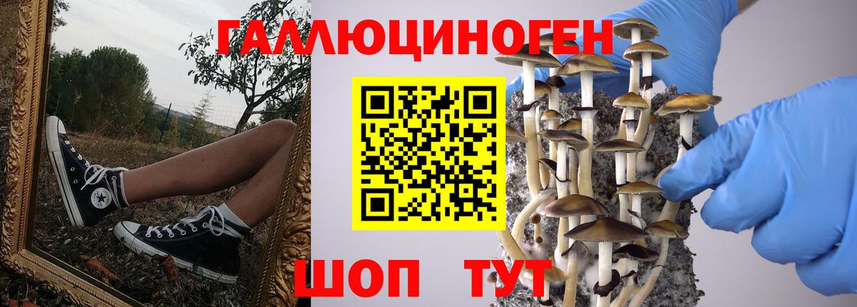 Ханты-Мансийск  сколько стоит  Вход с VPN  Псилоцибиновые грибы ЛСД  Галлюциногенные грибы Cubensis 